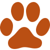 A simple, solid orange paw print with four toes and a pad, set against a plain white background.